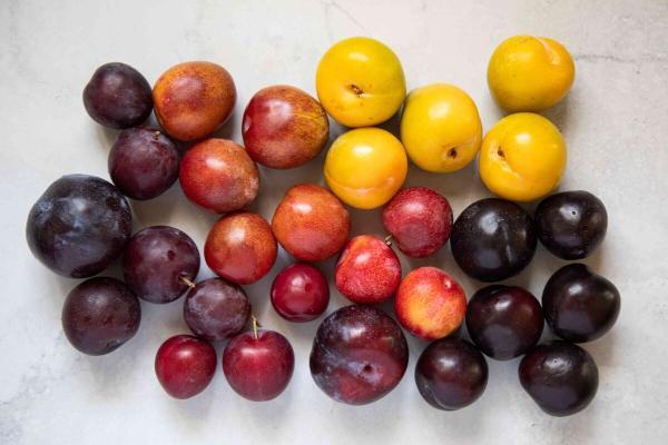 میوه های تابستانی برای کدام دسته از افراد مضر است؟