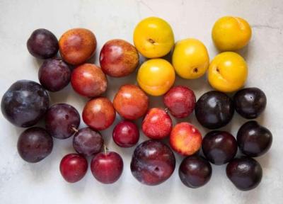 میوه های تابستانی برای کدام دسته از افراد مضر است؟